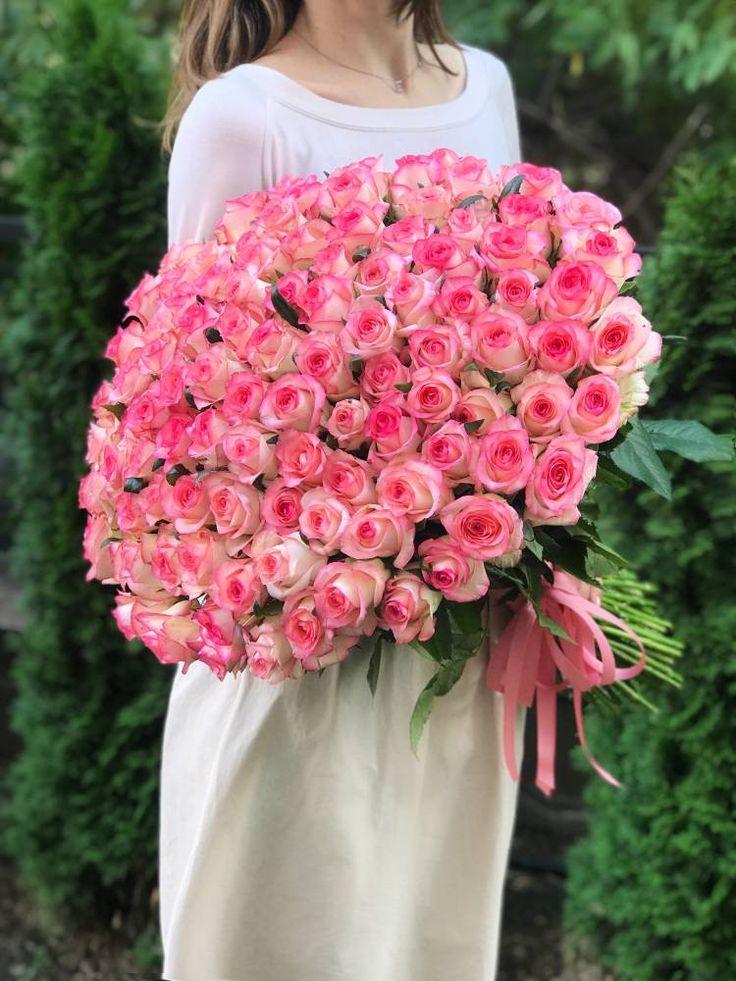 Secret Garden Whispers: A Symphony in Bloom
